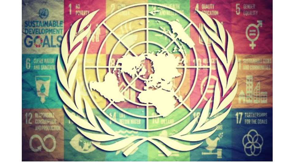 Agenda 30 Et Bibliotheques Cfibd