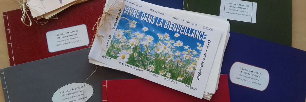 Quelques exemples de Relindial Cartonera, par Sophie Vasseur